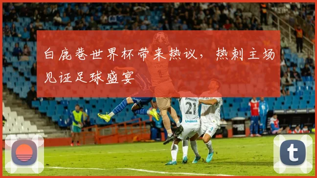 白鹿巷世界杯带来热议，热刺主场见证足球盛宴