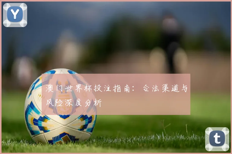 澳门世界杯投注指南：合法渠道与风险深度分析